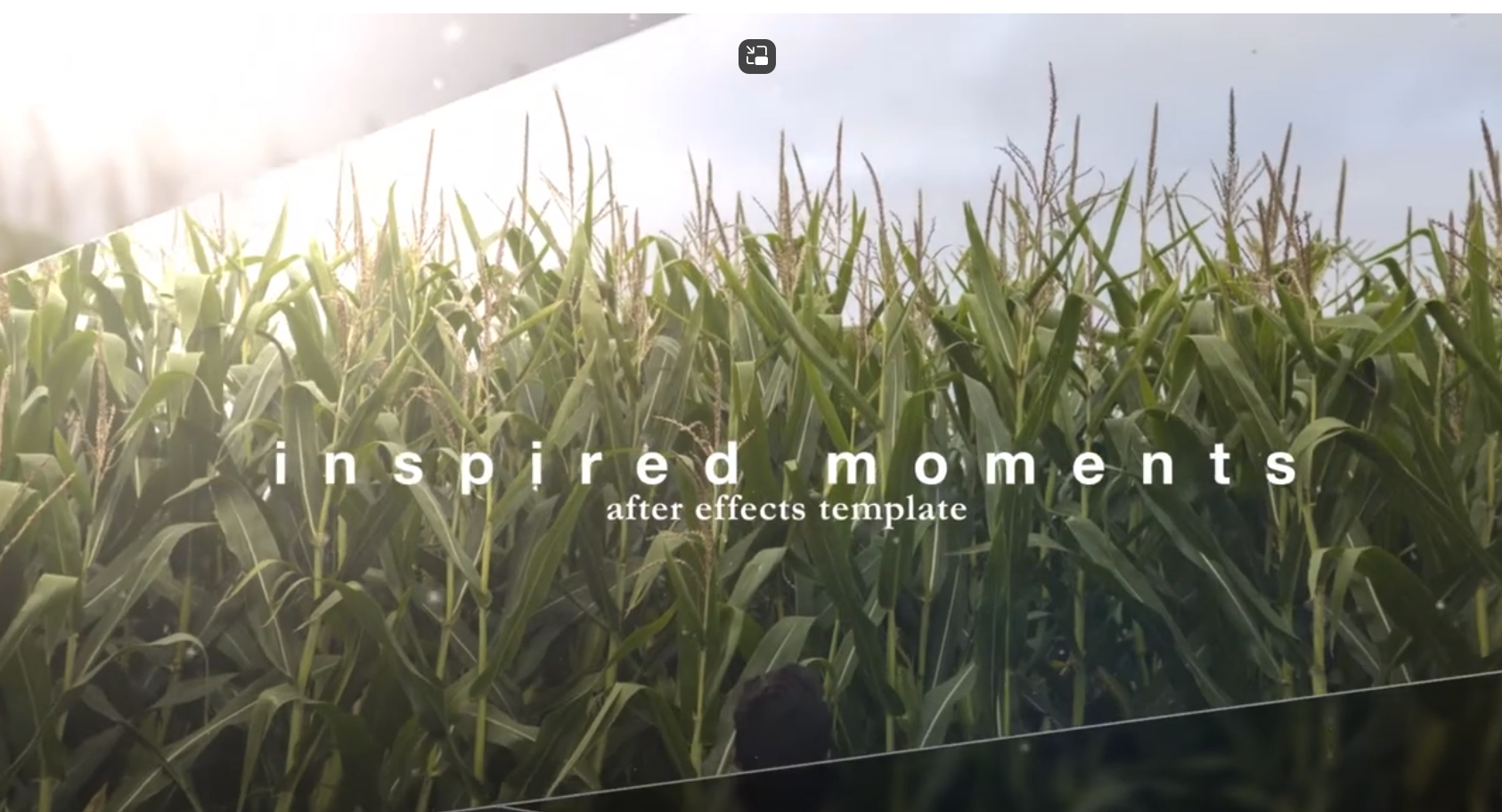 Inspired Moments