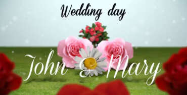 Wedding Day